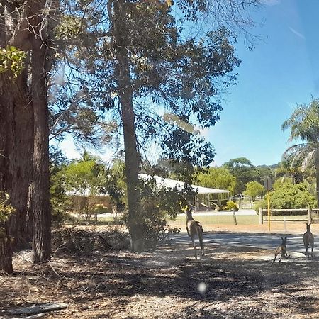 101 Oatlands Motel Mount Barker Exterior foto